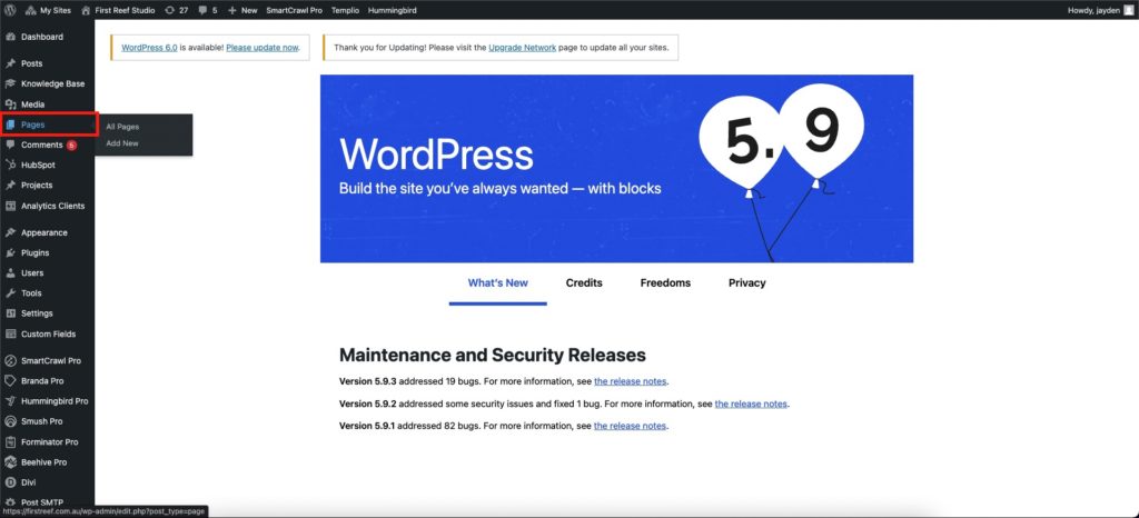 Going to WordPress pages